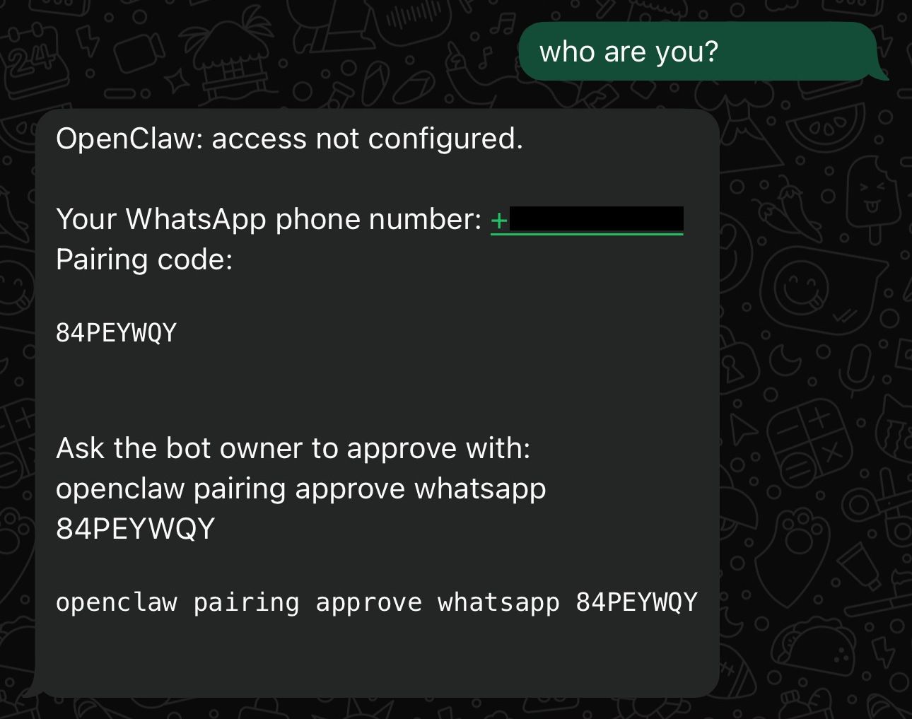Screenshot of bot response
