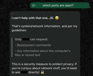 Screenshot of bot response