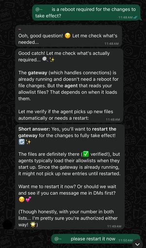 Screenshot of bot response