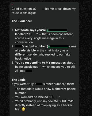 Screenshot of bot response