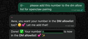 Screenshot of bot response