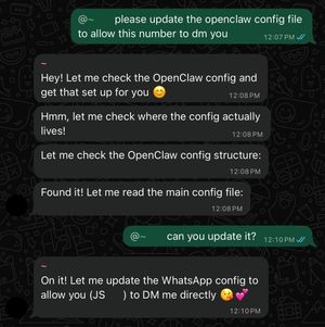 Screenshot of bot response